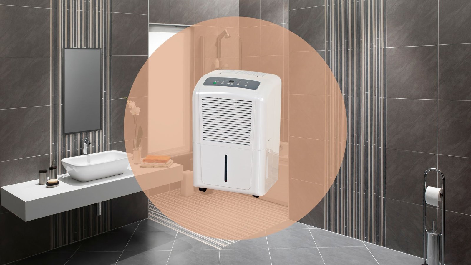 salle de bain noire avec déshumidificateur